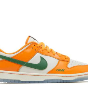 Nike Dunk Low Florida A&M University