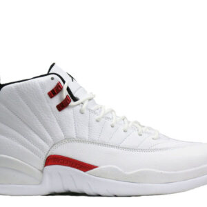 Air Jordan 12 Retro Twist 2021